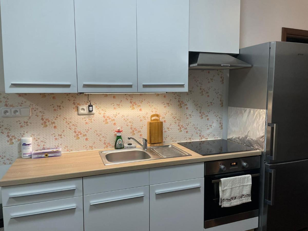 Spa Apartment Moser 卡罗维发利 外观 照片