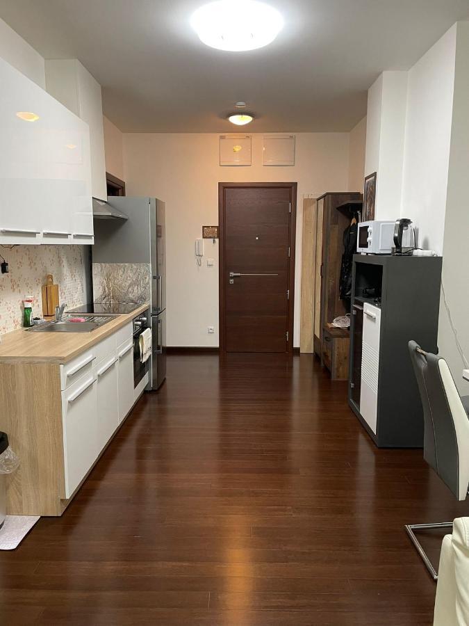 Spa Apartment Moser 卡罗维发利 外观 照片